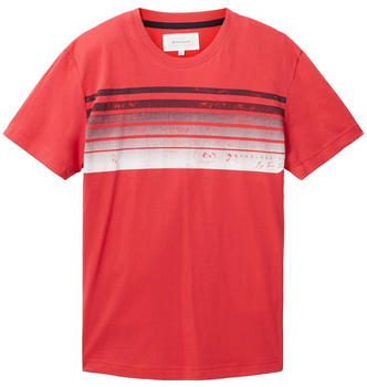 Tom Tailor T-Shirt mit Print (1036422) rot