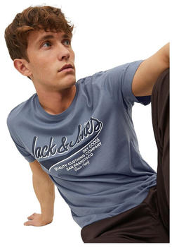 Jack & Jones Logo 2 Col Short Sleeve O Neck T-Shirt (12220500) flint