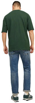 Jack & Jones Timo Short Sleeve T-Shirt (12234745) mountainview