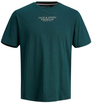 Jack & Jones Bluarchie Short Sleeve T-Shirt (12217167) grün