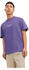 Jack & Jones Vesterbro Short Sleeve T-Shirt (12240121)