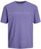 Jack & Jones Star Short Sleeve T-Shirt (12234746)
