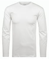 Baisc Shirt Longsleeve Herren Longsleeve