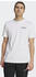 Adidas TERREX Graphic MTN 2.0 T-Shirt white (IL2648)