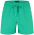 Tommy Hilfiger Original Logo Mid Length Swim Shorts (UM0UM03258) green