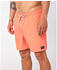 Rip Curl Daily Volley Swimming Shorts (04FMBO) orange