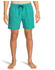 Billabong All Day Swimming Shorts (EBYJV00134)