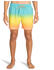 Billabong All Day Fade Swimming Shorts (EBYJV00121) gelb