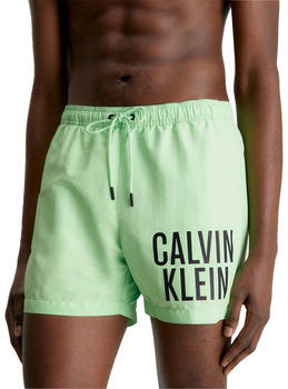 Calvin Klein Swimming Shorts (KM0KM00794) grün