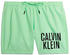 Calvin Klein Swimming Shorts (KM0KM00794) grün