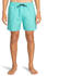 Billabong All Day Swimming Shorts (EBYJV00134)