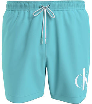 Calvin Klein Swimming Shorts (KM0KM01003) blau