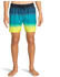 Billabong All Day Fade Swimming Shorts (EBYJV00121) blau