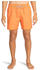 Billabong All Day Swimming Shorts (EBYJV00134)