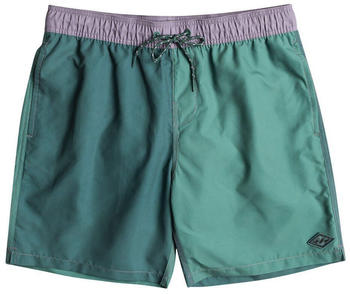Billabong All Day Interchange Lb Swimming Shorts (EBYJV00123) grün