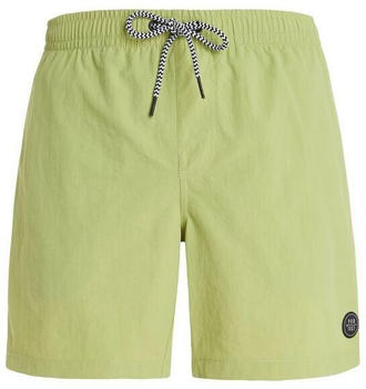 Protest Faster Swim Shorts (2711100) algae green