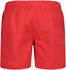 CMP Man Shorts (3R50027N) ferrari/anthracit