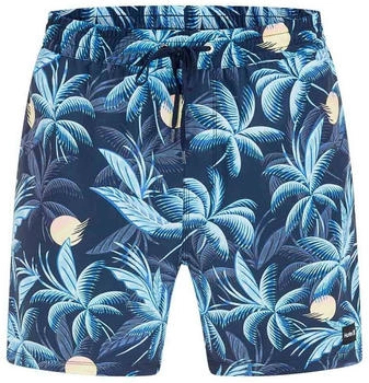 Hurley Cannonball Volley 17' Boardshorts obsidian