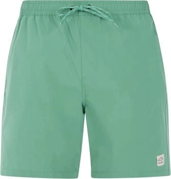 Protest Boardshorts PRTBAKY frosty grün