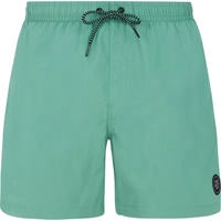 Protest 2711100, PROTEST Herren Badeshorts FASTER beachshort Frosty Green male