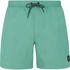 Protest Faster Swim Shorts (2711100)