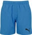 Puma Swim Badeshorts (Junior)
