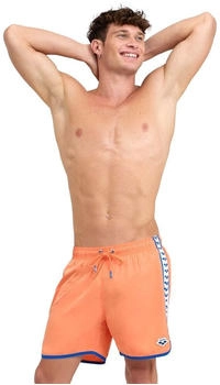 Arena Icons Team Stripe Beach Shorts