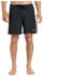 Quiksilver Everyday Holmes 16" Badeshorts (Herren)