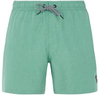 Protest 2711200, PROTEST Herren Badeshorts DAVEY beachshort Gr&uuml;n male