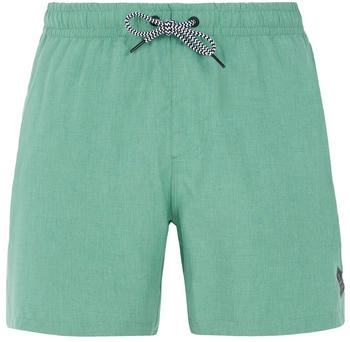 Protest Strandshorts Davey frosty grün