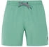 Protest Davey Swim Shorts (2711200)