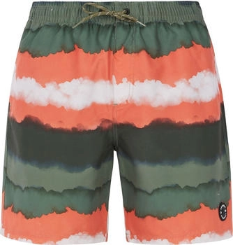 Protest Boardshorts PRTHAMSEY artischockgrün