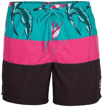 O'Neill Frame Block Shorts rot mehrfarbig