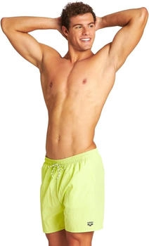 Arena Brampton X-Shorts Badeshorts grün