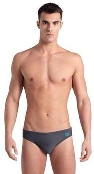 Arena Santamarias Swim Briefs asphalt water