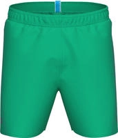 Arena 006444, ARENA Herren Badeshorts FUNDAMENTALS LOGO BOXER Gr&uuml;n male