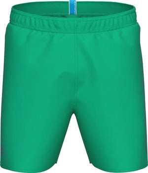 Arena Fundamentals Logo Boxer green quartz purple blue
