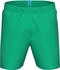Arena Fundamentals Logo R Badeshorts (Herren)