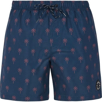 Protest Badeshorts PRTALVIS Night Sky navy
