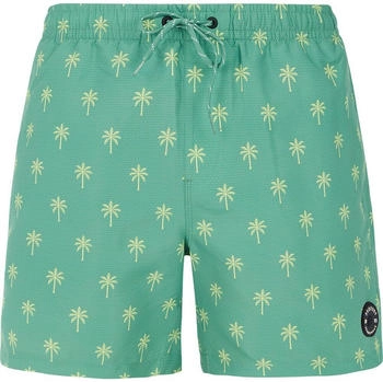 Protest Badeshorts PRTALVIS frosty green
