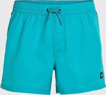 O'Neill Vert Retro Badehose blau