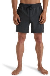 Billabong Every Other Day LB Boardshorts grau schwarz