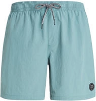 Protest 2711100, PROTEST Herren Badeshorts FASTER beachshort Arcticgreen male