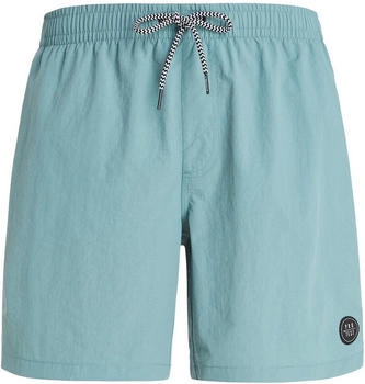 Protest Badeshorts 'Faster' arcticgreen