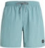 Protest Badeshorts 'Faster' arcticgreen