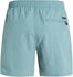 Protest Badeshorts 'Faster' arcticgreen