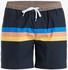 Quiksilver Everyday Straight 15" Badeshorts (Herren)
