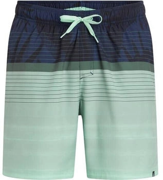 Firefly Badeshorts Lucio M Flowline 430720 green light