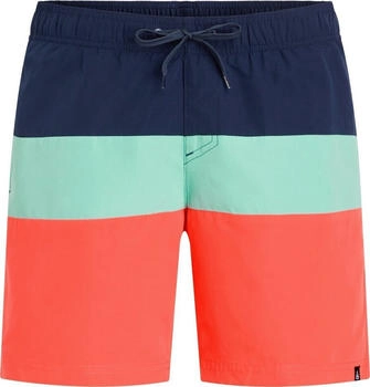 Firefly Badeshorts Natal II M 431250 mint dunkel