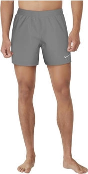 Nike Sport Style Essentials 5Inch Volley Badehose grau
